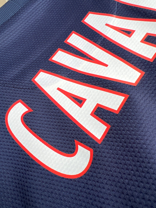 Paris 2013-2014 HOME 9 CAVANI