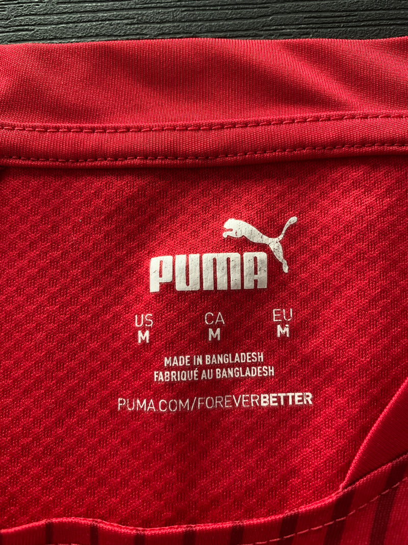 Chargez l'image dans la visionneuse de la galerie, West Bromwich Albion 2020-2021 Training