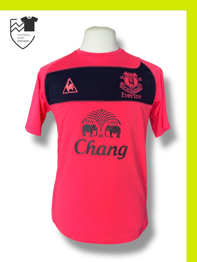 Chargez l'image dans la visionneuse de la galerie, Everton 2010-2011 AWAY