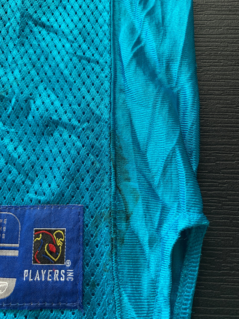 Chargez l'image dans la visionneuse de la galerie, Carolina Panthers Alternate 17 DELHOMME