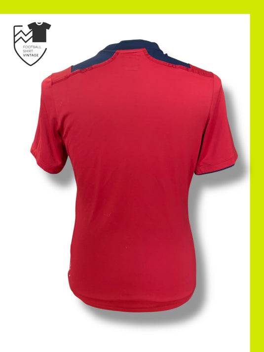 Lille 2012-2013 HOME