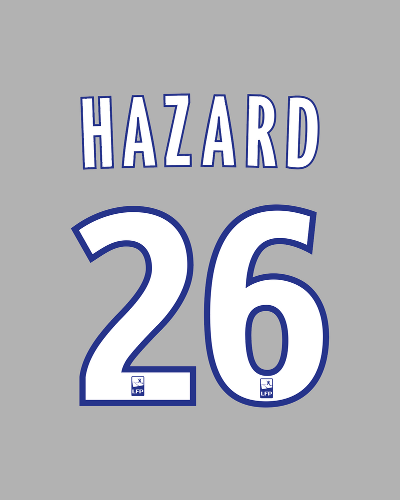 Chargez l'image dans la visionneuse de la galerie, Flocage Nameset Lille 2010-2011 HOME 26 HAZARD