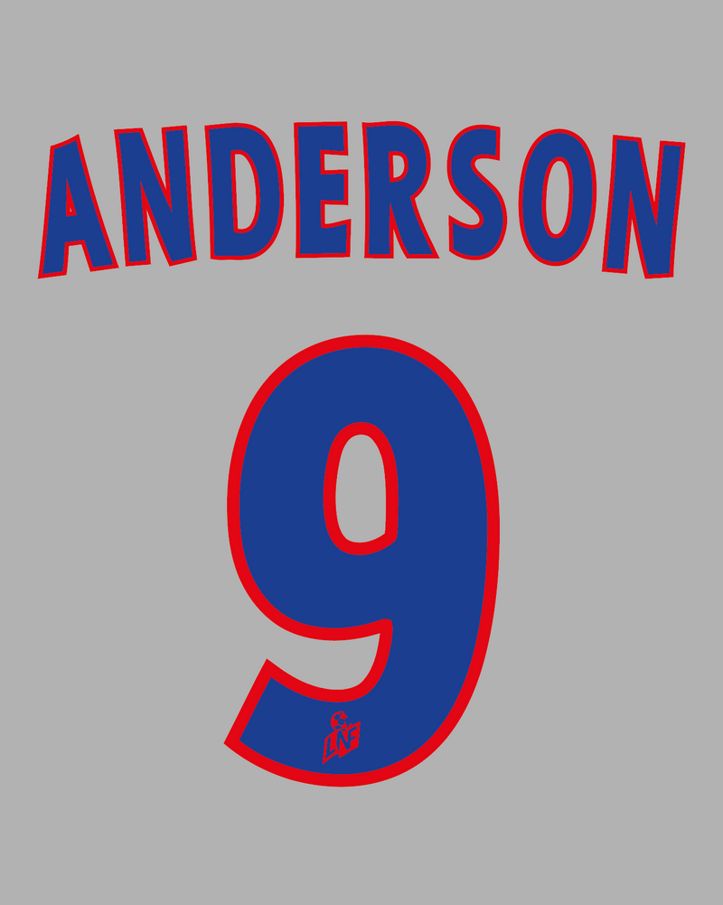 Chargez l'image dans la visionneuse de la galerie, Flocage Nameset Lyon 2000-2001 HOME 9 ANDERSON