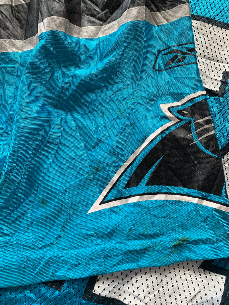 Chargez l'image dans la visionneuse de la galerie, Carolina Panthers Alternate 17 DELHOMME