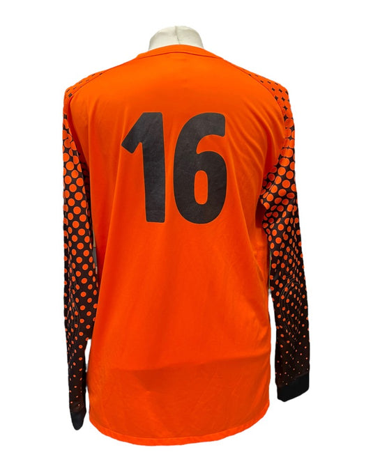 Amiens 2015-2016 Goal 16