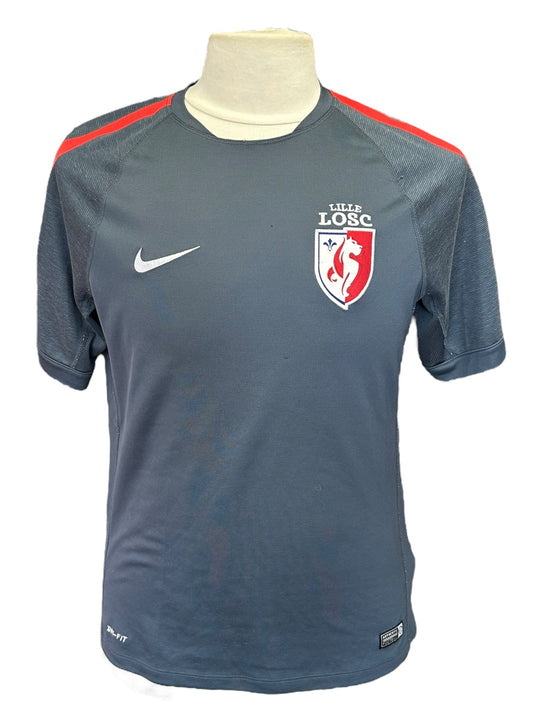 Lille 2014-2015 Training