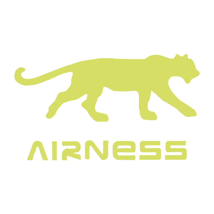 Airness : Un Acteur Français Marquant du Football