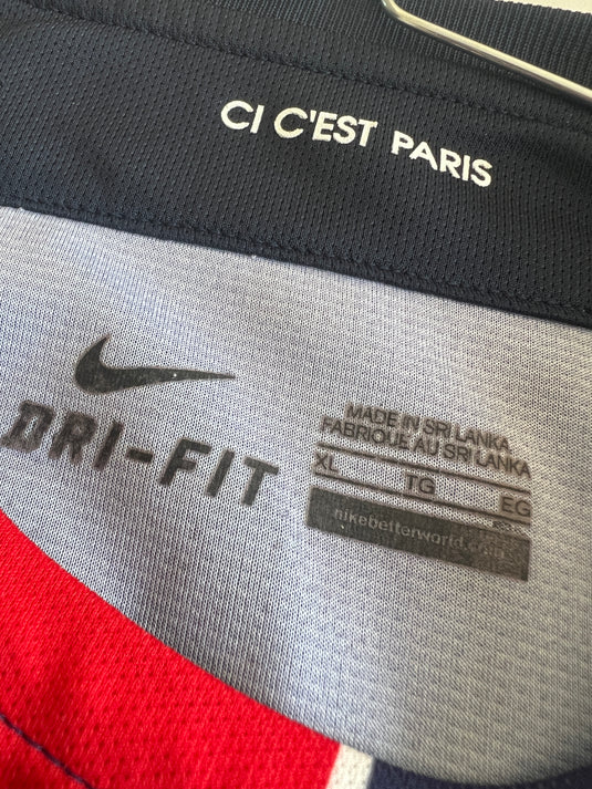 Paris 2015-2016 HOME 10 IBRAHIMOVIC