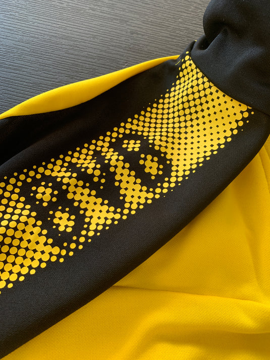 Borussia Dortmund 2017-2018 Training