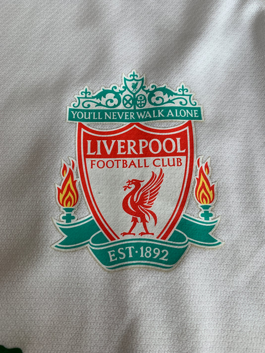 Liverpool 2008-2009 Training