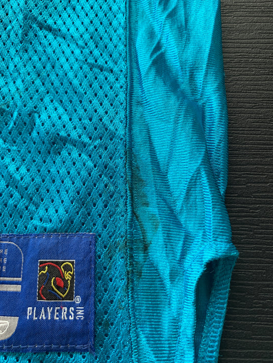 Carolina Panthers  Alternate 17 DELHOMME