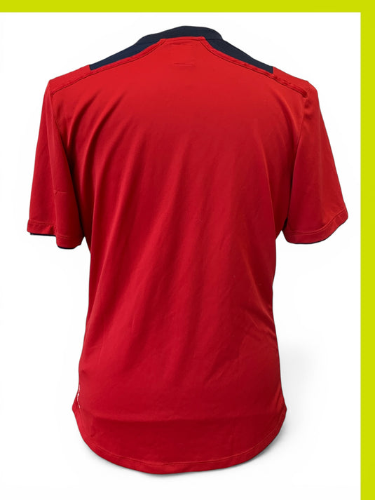 Lille 2012-2013 HOME