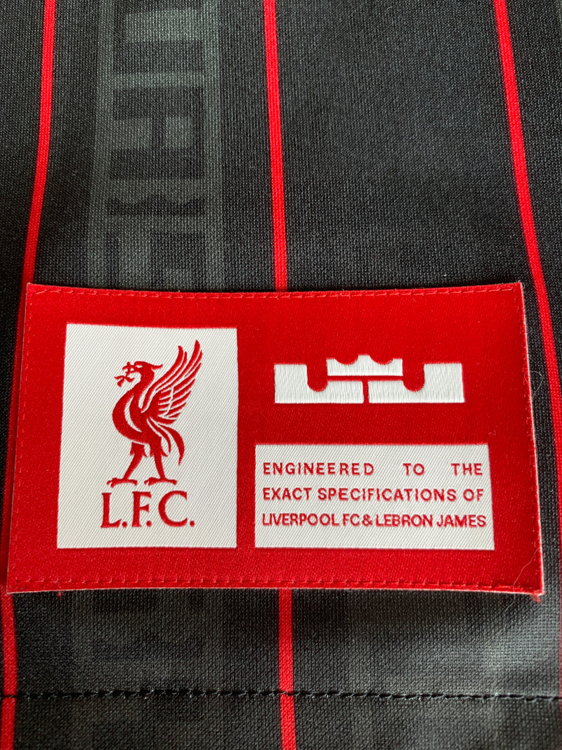 Chargez l'image dans la visionneuse de la galerie, Liverpool 2023-2024 Training
