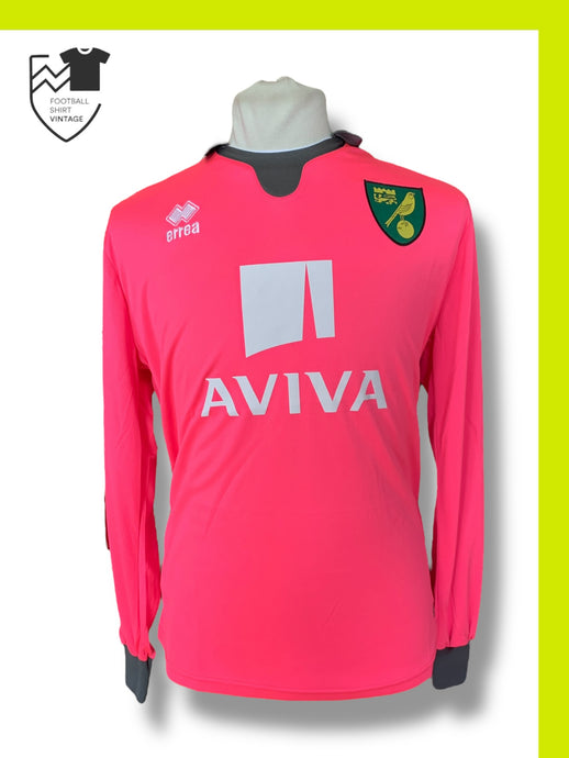 Norwich 2015-2016 Goal
