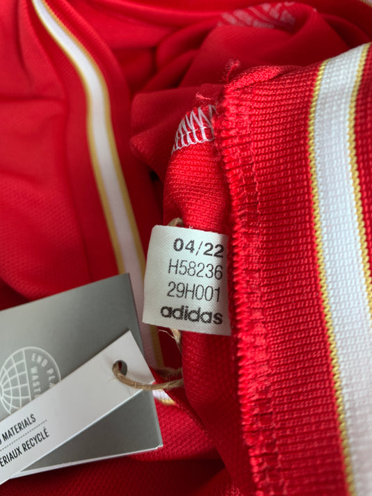 Ajax Amsterdam 2022-2023 HOME