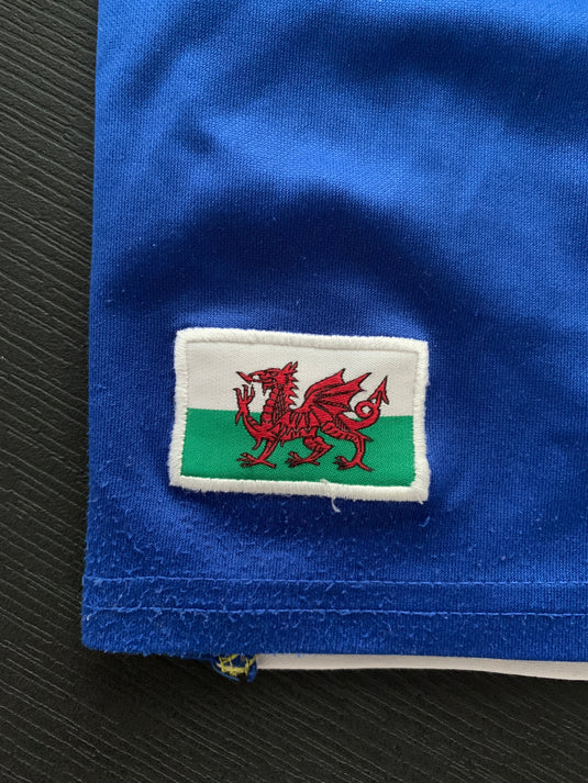 Cardiff City 2009-2010 HOME