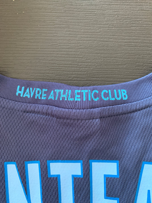 Le Havre 2013-2014 HOME 29 PINTEAUX
