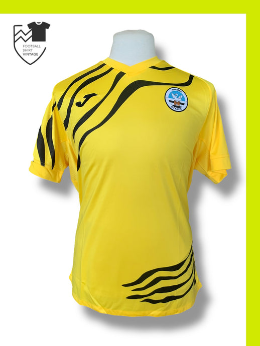 Swansea 2022-2023 Goal