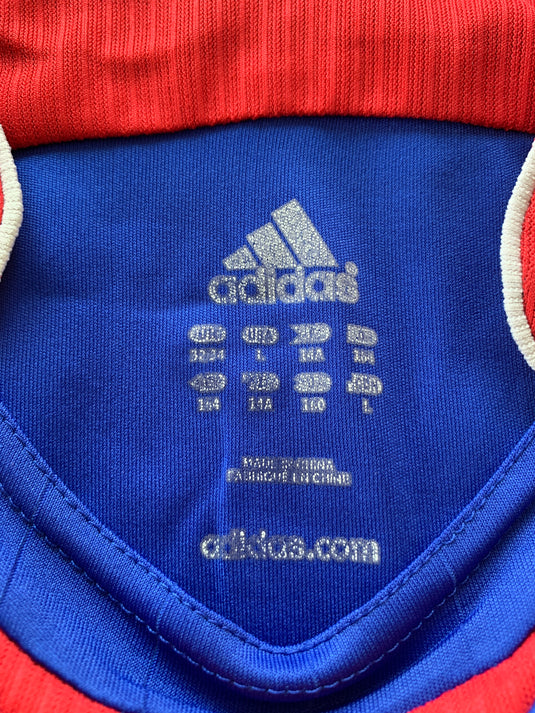 France 2006 HOME 10 ZIDANE (14)