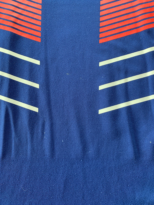France 2010 HOME 9 CISSE (L)