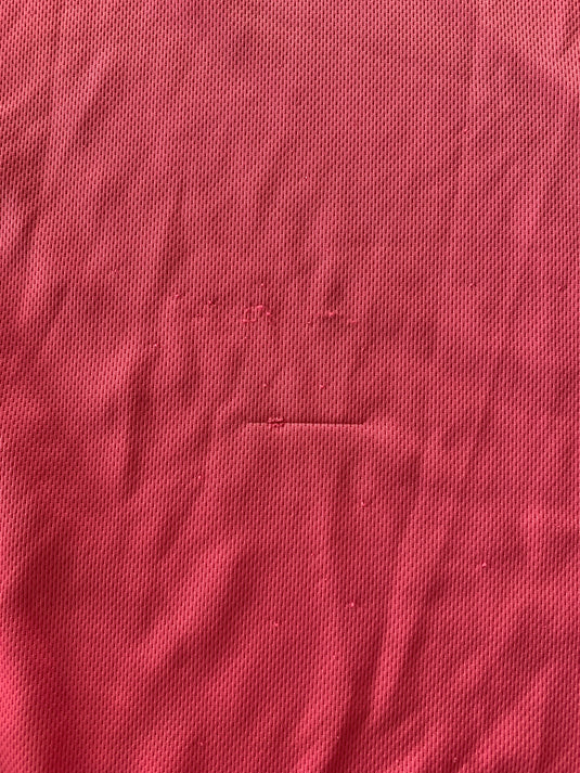 Lille 2010-2011 Goal