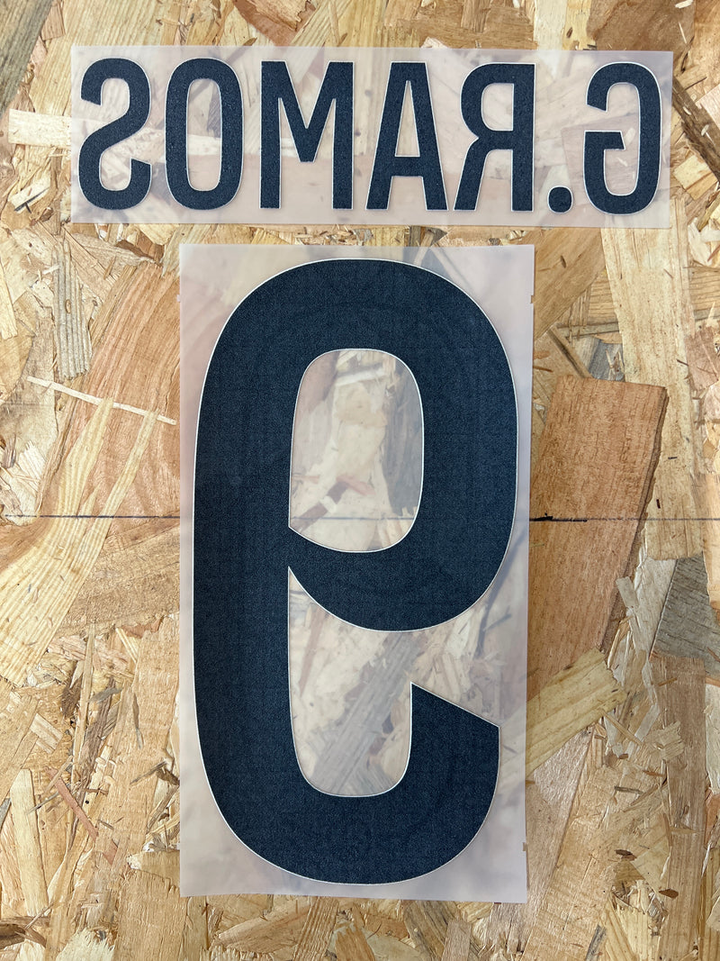 Chargez l&#39;image dans la visionneuse de la galerie, Flocage Nameset Paris UCL 2025-2026 HOME 9 G.RAMOS
