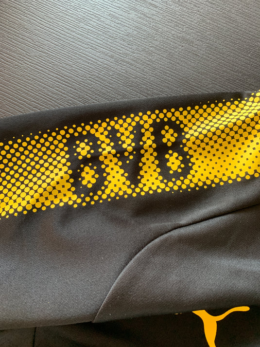 Borussia Dortmund 2017-2018 Training