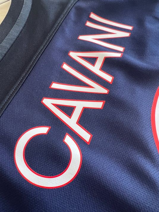 Paris 2015-2016 HOME 9 CAVANI
