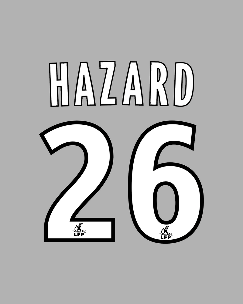 Chargez l&#39;image dans la visionneuse de la galerie, Flocage Nameset Lille 2009-2010 THIRD 26 HAZARD
