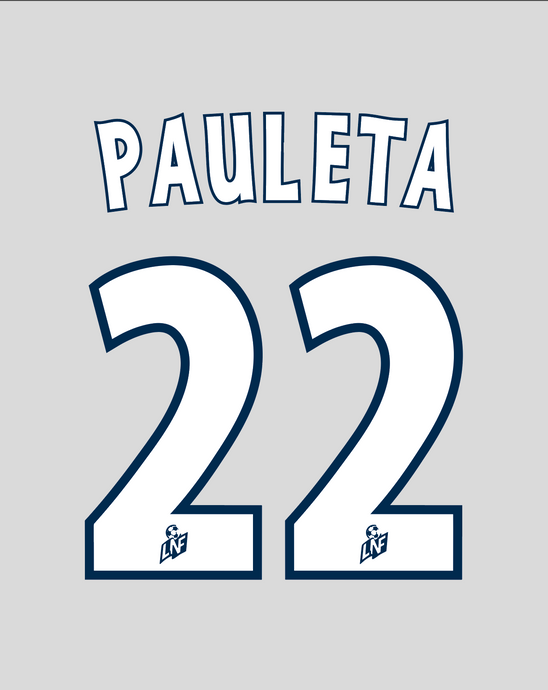Nameset flocage Bordeaux 2000-2001 HOME Pauleta #22