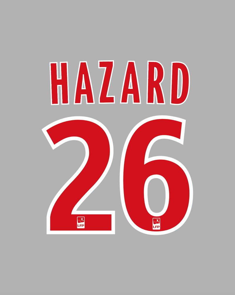 Chargez l&#39;image dans la visionneuse de la galerie, Flocage Nameset Lille 2010-2011 AWAY 26 HAZARD
