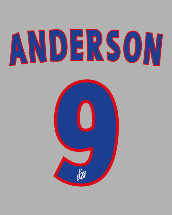 Flocage Nameset Lyon 2001-2002 HOME 9 ANDERSON