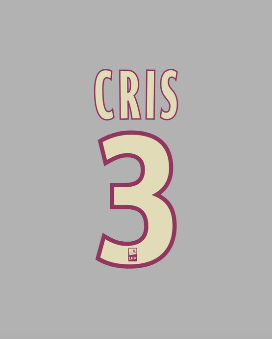 Flocage Nameset Lyon 2010-2011 AWAY 3 CRIS