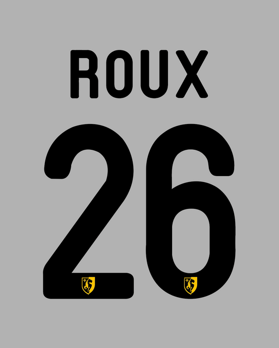 Flocage Nameset Lille 2014-2015 AWAY 26 ROUX