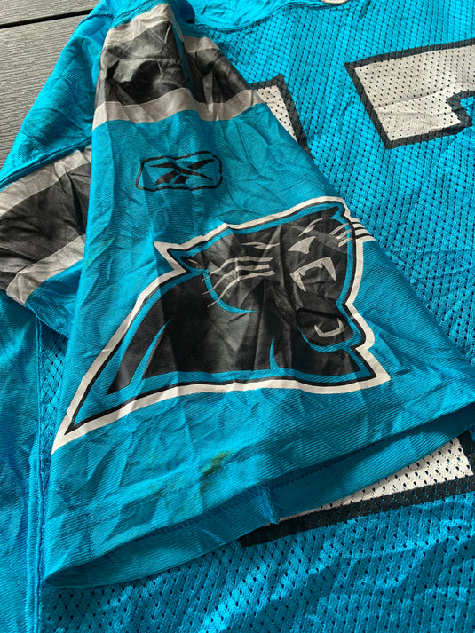 Carolina Panthers  Alternate 17 DELHOMME
