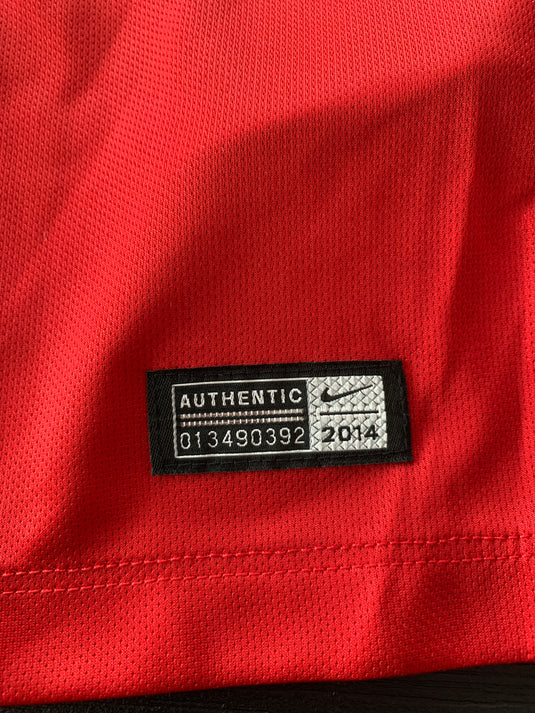 Lille 2014-2015 HOME