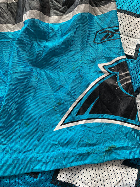 Carolina Panthers  Alternate 17 DELHOMME