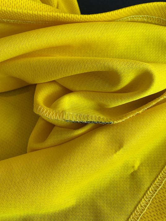 Borussia Dortmund 2002-2003 HOME 22 AMOROSO