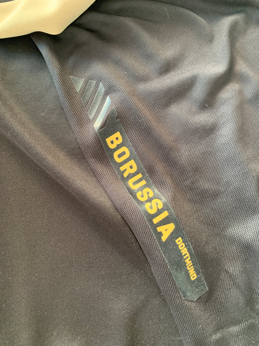 Borussia Dortmund 2015-2016 Training