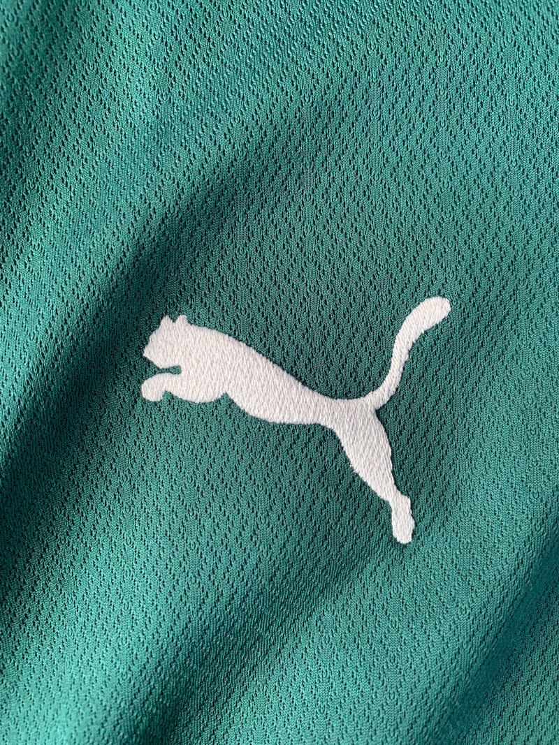 Chargez l'image dans la visionneuse de la galerie, Palmeiras 2022 HOME (L)
