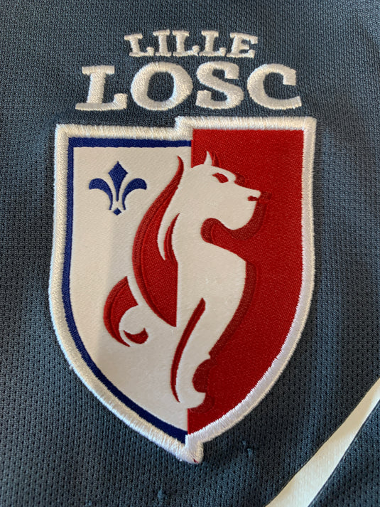 Lille 2014-2015 Training