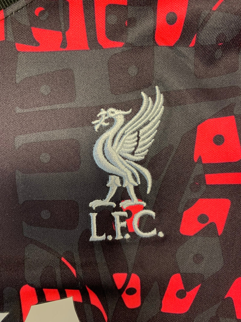 Chargez l'image dans la visionneuse de la galerie, Liverpool 2020-2021 Training (XS)
