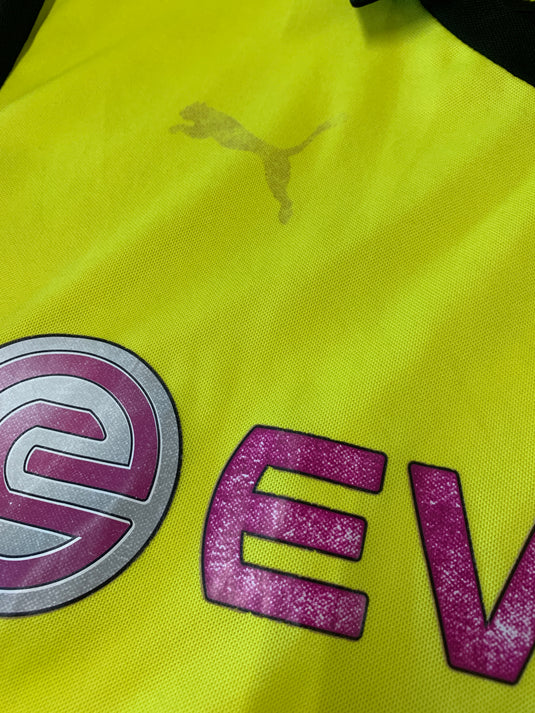 Borussia Dortmund 2013-2014 HOME