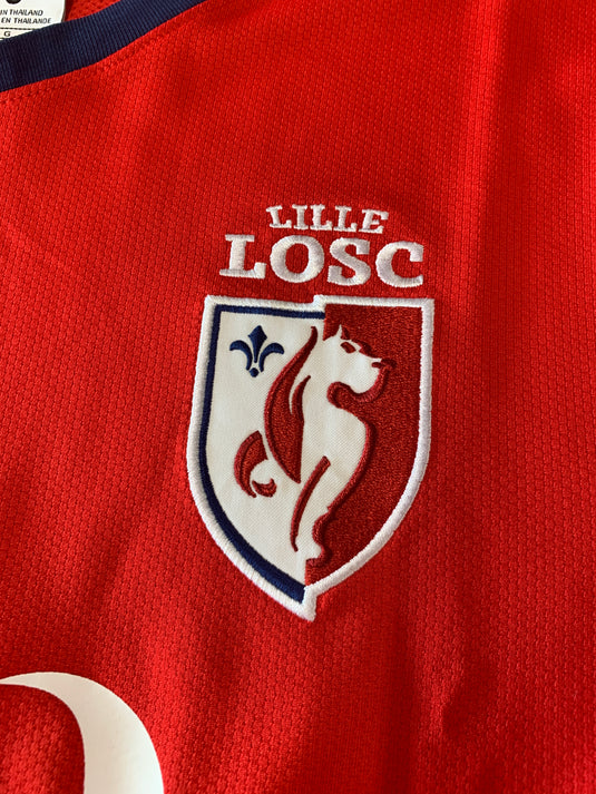 Lille 2013-2014 HOME