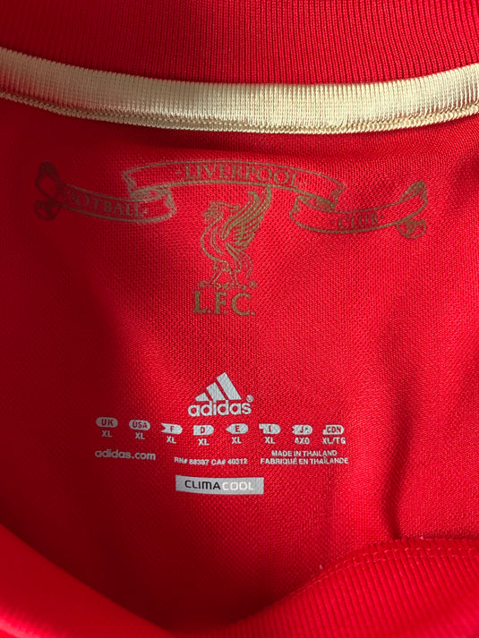Liverpool 2010-2011 HOME 8 GERRARD (XL)