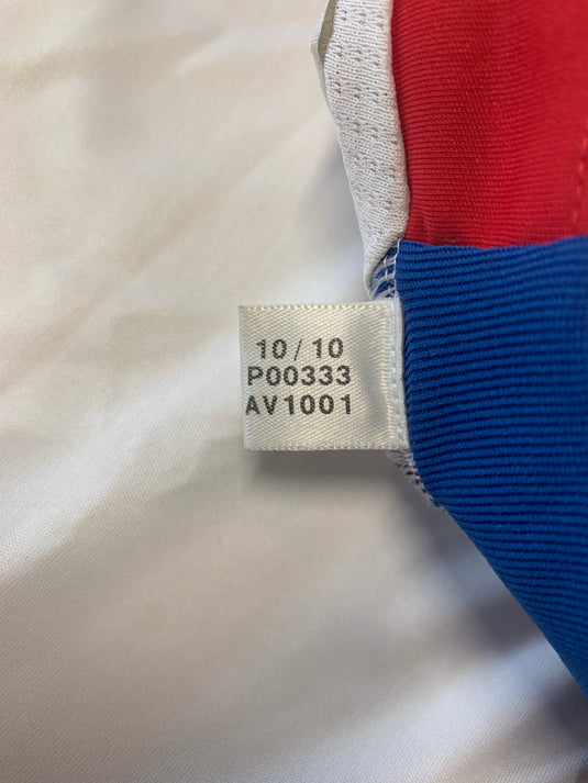 Lyon 2010-2011 HOME