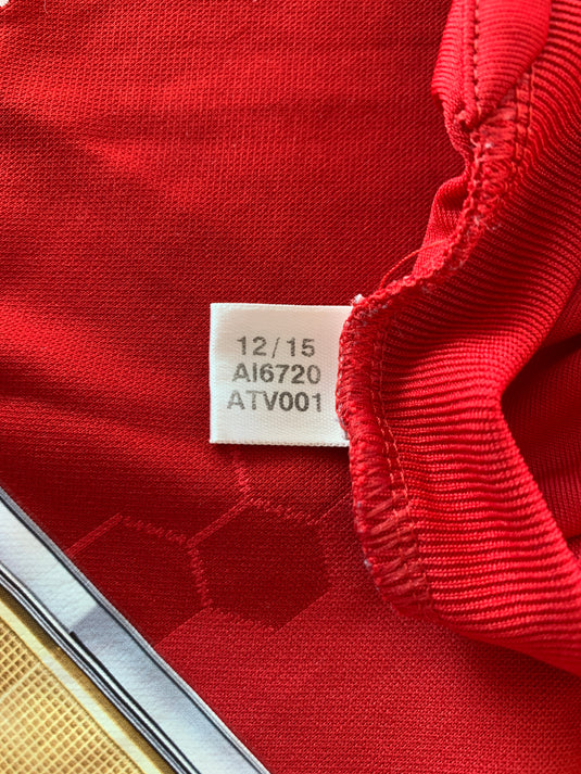 Manchester United 2016-2017 HOME 10 ROONEY (M)