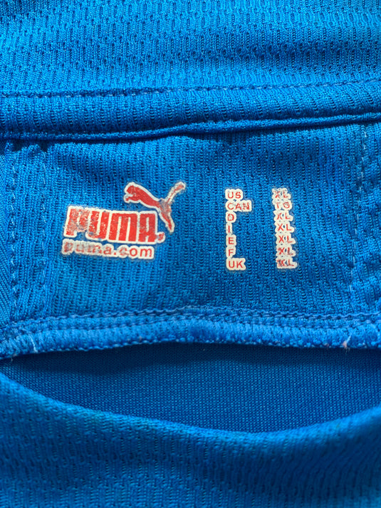 Hoffenheim 2010-2011 HOME (XL)