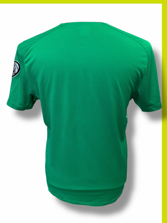 Irlande 2014 HOME