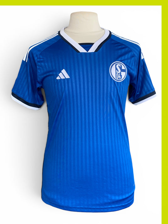 Schalke 04 2023-2024 HOME